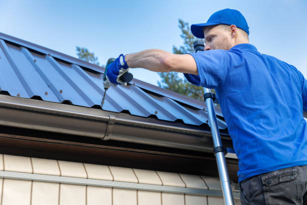 Best Roof Maintenance and Cleaning  in Washington Park, IL
