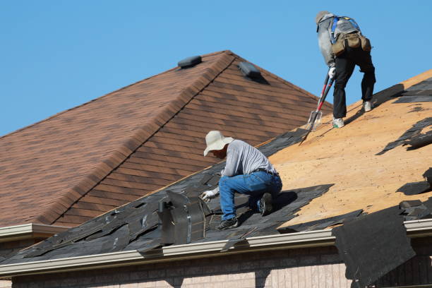 Best Skylight Installation and Repair  in Washington Park, IL